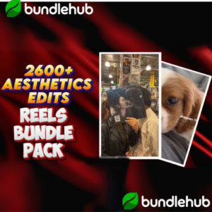 Aesthetic Edits Reels Bundle