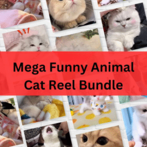 Funny Animals Reels Bundle