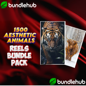 Aesthetic Animals Reels Bundle
