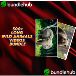 Wild Animals Long Video Bundle
